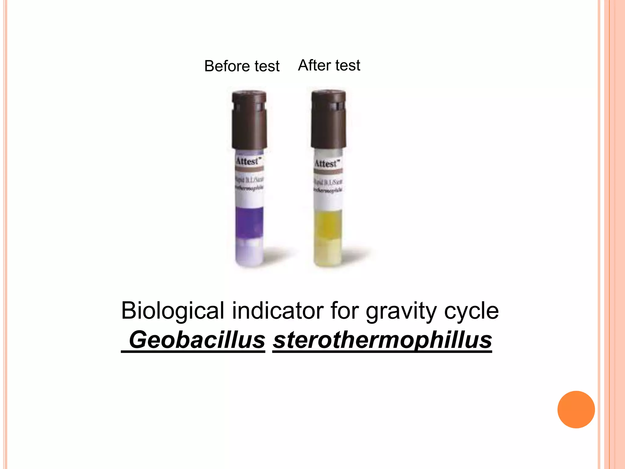 validation of autoclave