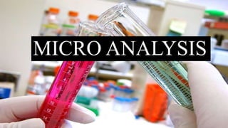 MICRO ANALYSIS
 