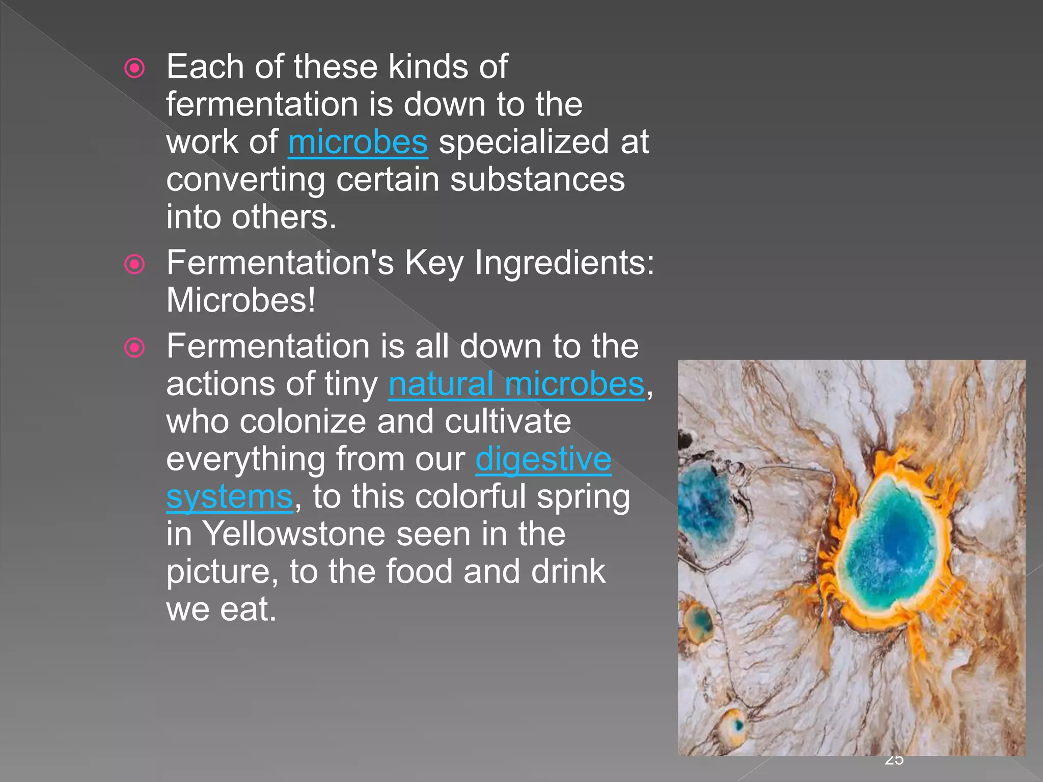  Each of these kinds of
fermentation is down to the
work of microbes specialized at
converting certain substances
into others.
 Fermentation's Key Ingredients:
Microbes!
 Fermentation is all down to the
actions of tiny natural microbes,
who colonize and cultivate
everything from our digestive
systems, to this colorful spring
in Yellowstone seen in the
picture, to the food and drink
we eat.
25
 