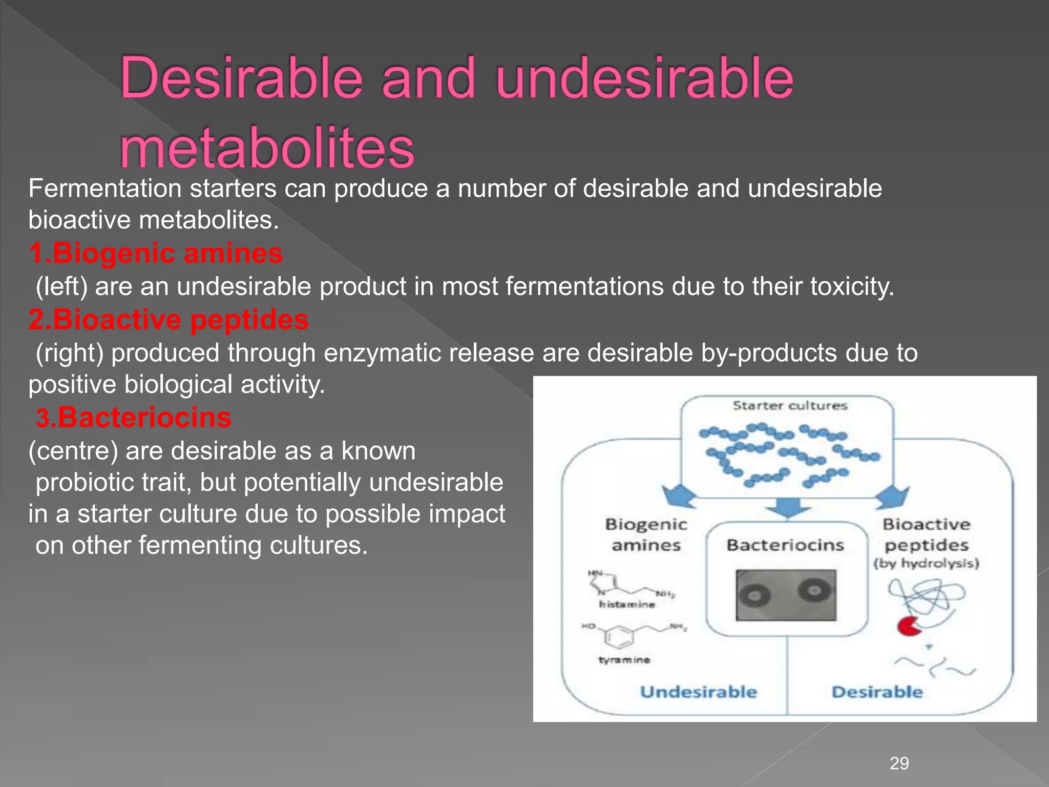 29
Fermentation starters can produce a number of desirable and undesirable
bioactive metabolites.
1.Biogenic amines
(left) are an undesirable product in most fermentations due to their toxicity.
2.Bioactive peptides
(right) produced through enzymatic release are desirable by-products due to
positive biological activity.
3.Bacteriocins
(centre) are desirable as a known
probiotic trait, but potentially undesirable
in a starter culture due to possible impact
on other fermenting cultures.
 