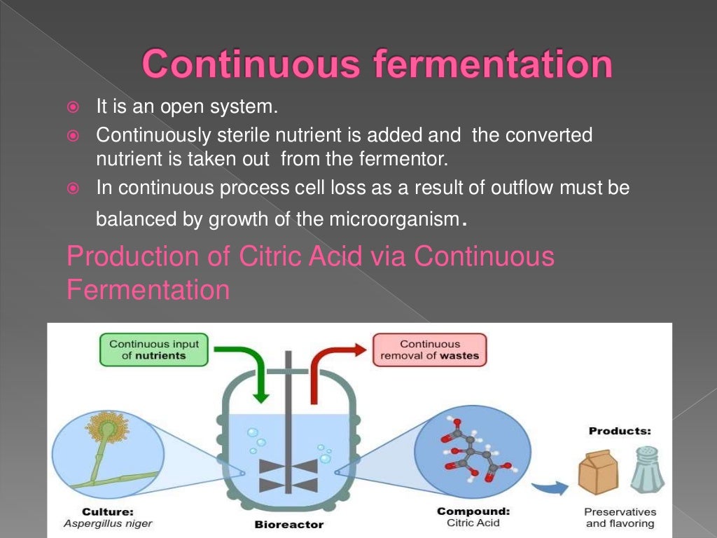 Microbial fermentation By Aneela Saleem