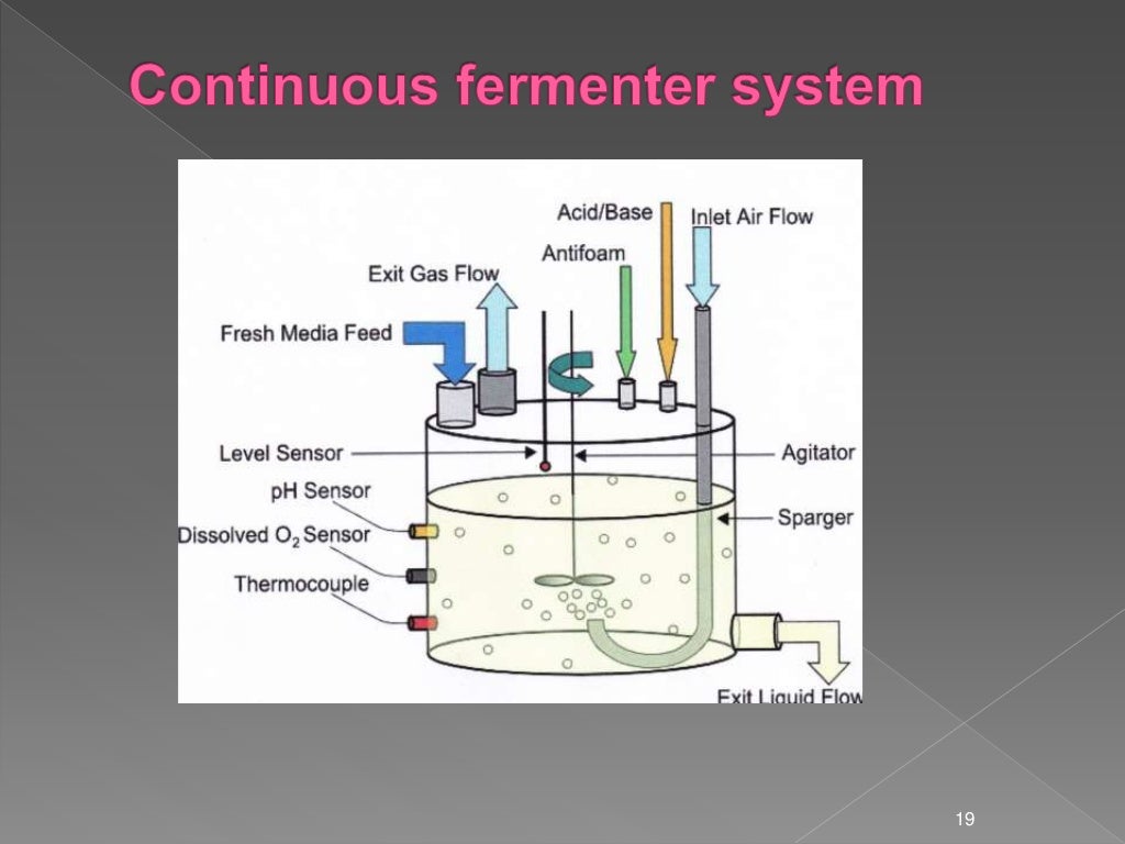 Microbial fermentation By Aneela Saleem