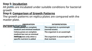 Observing Plate Isolation and Detection of Microbial Mutants: Techniques and ...