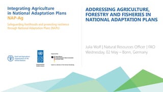 ADDRESSING AGRICULTURE,
FORESTRY AND FISHERIES IN
NATIONAL ADAPTATION PLANS
Julia Wolf | Natural Resources Officer | FAO
Wednesday, 02 May – Bonn, Germany
 