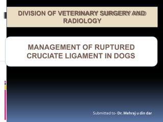 DIVISION OF
DIVISION OF VETERINARY SURGERY
VETERINARY SURGERY AND
AND
RADIOLOGY
RADIOLOGY
MANAGEMENT OF RUPTURED
CRUCIATE LIGAMENT IN DOGS
Submitted to- Dr. Mehraj u din dar
 