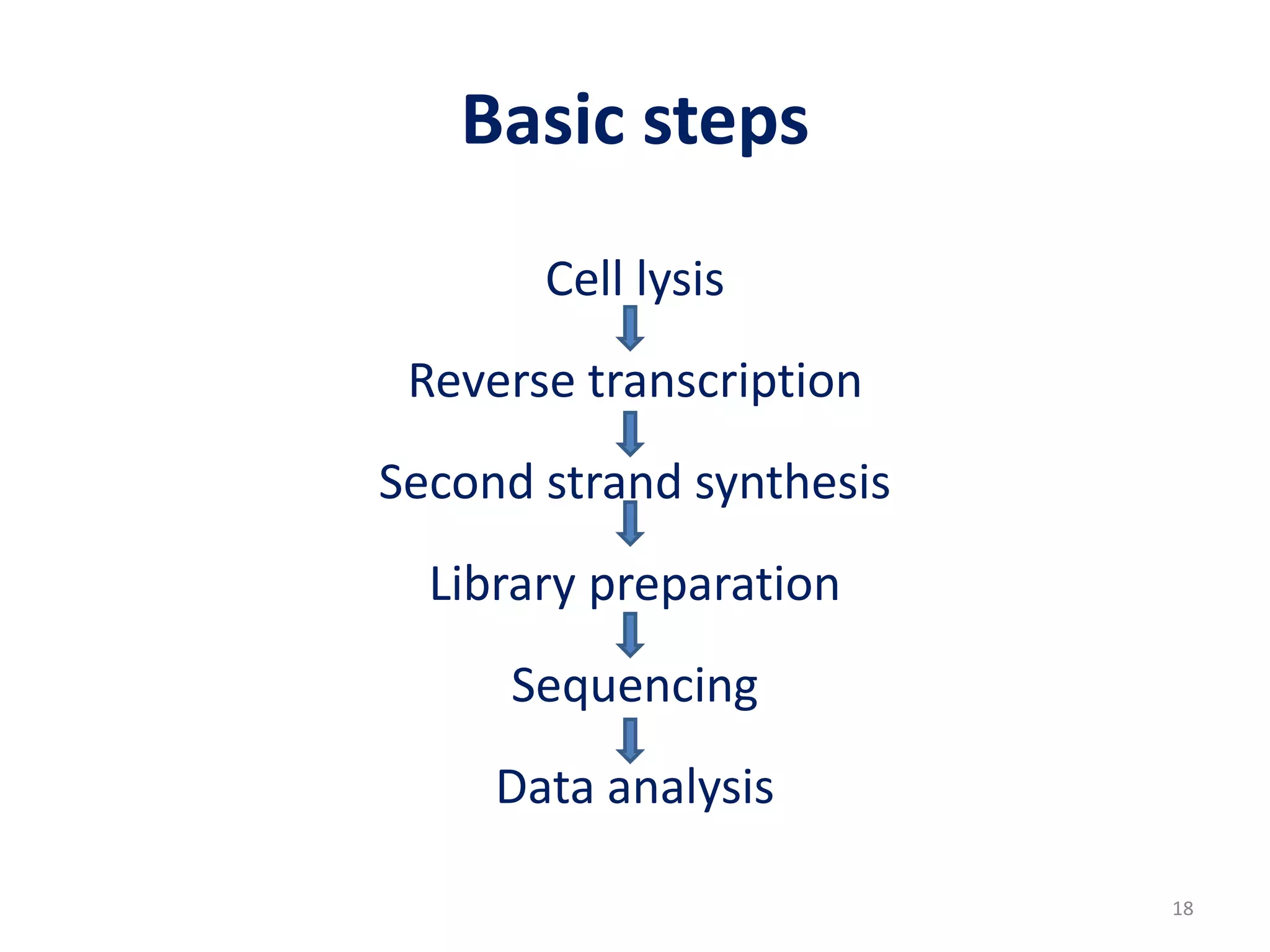 Basic steps
Cell lysis
Reverse transcription
Second strand synthesis
Library preparation
Sequencing
Data analysis
18
 