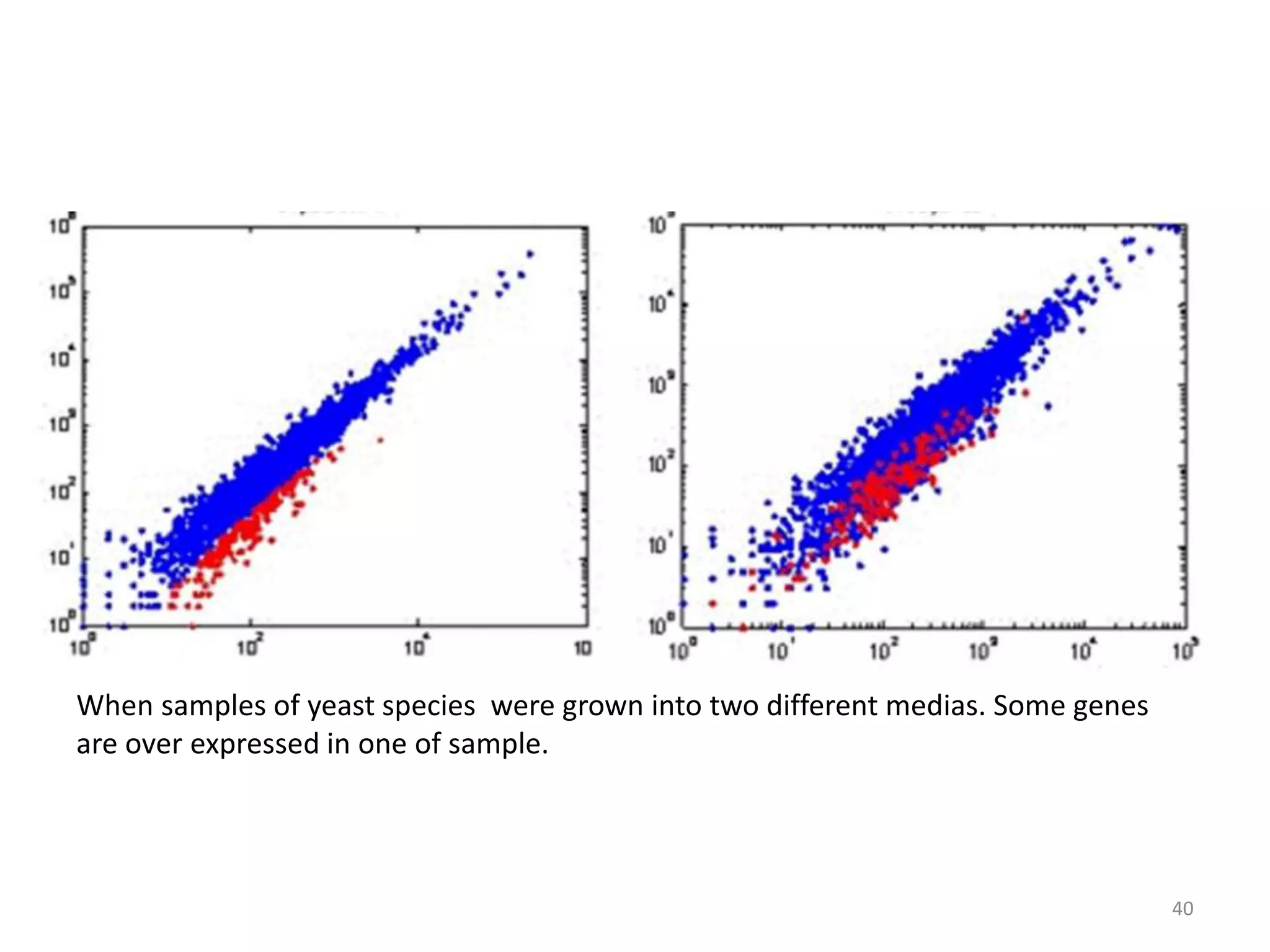 When samples of yeast species were grown into two different medias. Some genes
are over expressed in one of sample.
40
 
