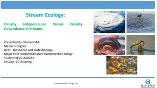 Environmental Ecology Lab
Stream Ecology:
Density Independence Versus Density
Dependence In Streams
Presented By- Mamun Md.
Master’s Degree
Dept.- Bioscience and Biotechnology
Major Field-Biodiversity and Environmental Ecology
Student Id-201650783
Session -2016,Spring
 