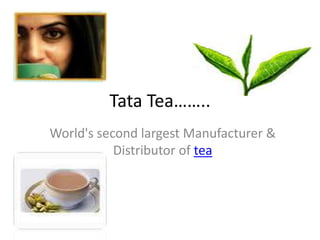Tata Tea…….. World's second largest Manufacturer & Distributor of tea 
