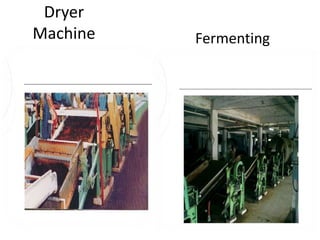 3% of market share.The dawn of a new eraDecided to Focus on consumer brandingTata Tea brandChakra GoldGeminiKanan DevanAfterwards ,Established Popular brands in IndiaAgni