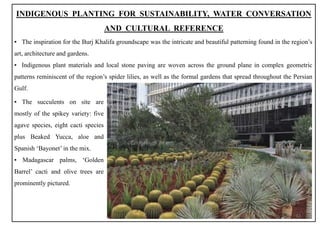 INDIGENOUS PLANTING FOR SUSTAINABILITY, WATER CONVERSATION
AND CULTURAL REFERENCE
▪ The inspiration for the Burj Khalifa groundscape was the intricate and beautiful patterning found in the region’s
art, architecture and gardens.
▪ Indigenous plant materials and local stone paving are woven across the ground plane in complex geometric
patterns reminiscent of the region’s spider lilies, as well as the formal gardens that spread throughout the Persian
Gulf.
▪ The succulents on site are
mostly of the spikey variety: five
agave species, eight cacti species
plus Beaked Yucca, aloe and
Spanish ‘Bayonet’ in the mix.
▪ Madagascar palms, ‘Golden
Barrel’ cacti and olive trees are
prominently pictured.
42
 