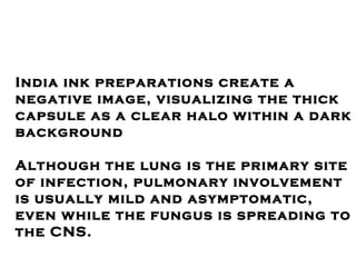 What Is Ink Infection Final ppt on fungal diseases | PPT