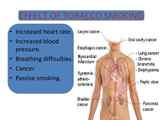 EFFECT OF TOBACCO SMOKING
• Increased heart rate.
• Increased blood
pressure.
• Breathing difficulties.
• Cancer.
• Passive smoking.
 