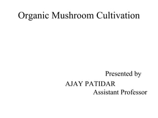 Organic Mushroom Cultivation
Presented by
AJAY PATIDAR
Assistant Professor
 