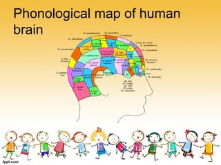 Phonological map of human
brain
 