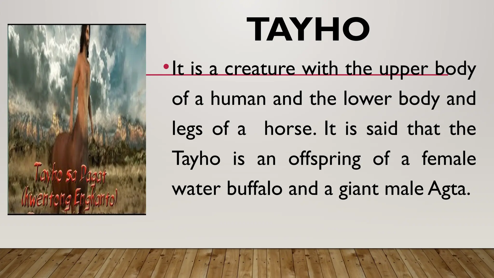 TAYHO
•It is a creature with the upper body
of a human and the lower body and
legs of a horse. It is said that the
Tayho is an offspring of a female
water buffalo and a giant male Agta.
 