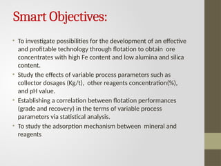 Design and Optimization of Froth Flotation for Sustainable Iron Ore ...