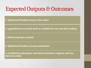 Design and Optimization of Froth Flotation for Sustainable Iron Ore ...