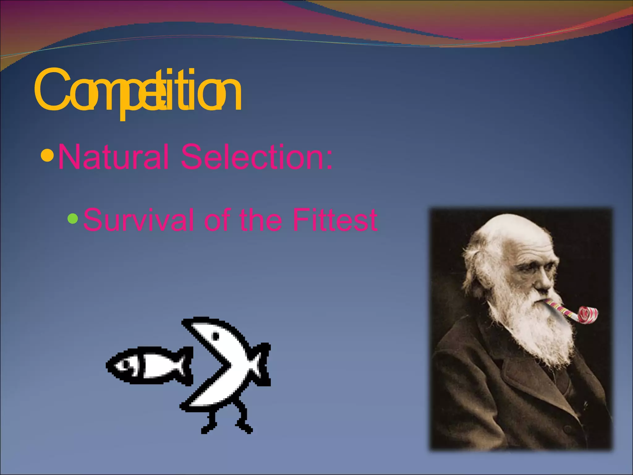 Competition Natural Selection:  Survival of the Fittest 