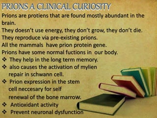 Prions are protiens that are found mostly abundant in the
brain.
They doesn’t use energy, they don’t grow, they don’t die.
They reproduce via pre-existing prions.
All the mammals have prion protein gene.
Prions have some normal fuctions in our body.
 They help in the long term memory.
 also causes the activation of mylien
repair in schwann cell.
 Prion expression in the stem
cell neccesary for self
renewal of the bone marrow.
 Antioxidant activity
 Prevent neuronal dysfunction
 
