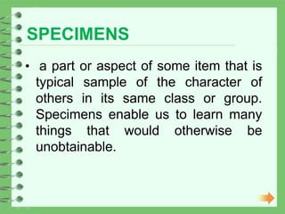 Specimens Classroom 3D Learning Group 5 CT | PPTX