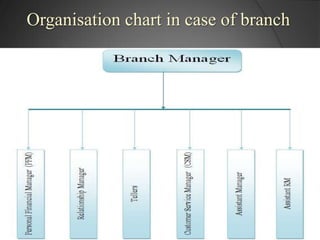 Organisation chart in case of branch