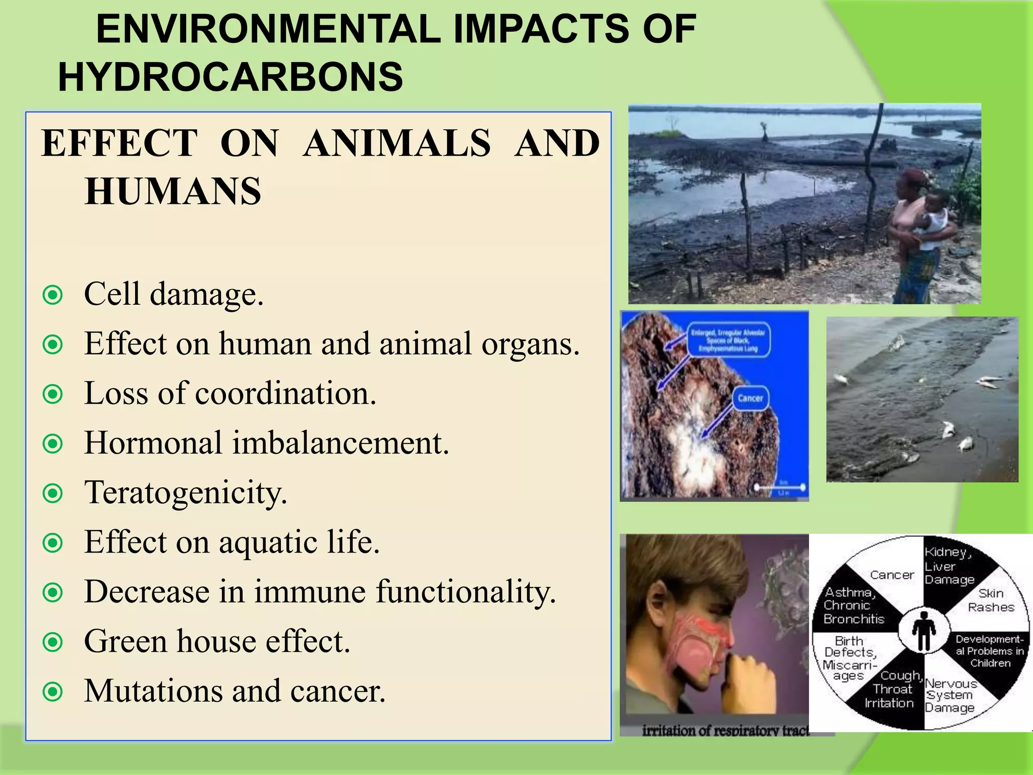 ENVIRONMENTAL IMPACTS OF
HYDROCARBONS
EFFECT ON ANIMALS AND
HUMANS
 Cell damage.
 Effect on human and animal organs.
 Loss of coordination.
 Hormonal imbalancement.
 Teratogenicity.
 Effect on aquatic life.
 Decrease in immune functionality.
 Green house effect.
 Mutations and cancer.
 