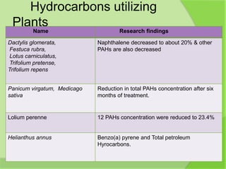 Hydrocarbons utilizing
Plants
Name Research findings
Dactylis glomerata,
Festuca rubra,
Lotus carniculatus,
Trifolium pretense,
Trifolium repens
Naphthalene decreased to about 20% & other
PAHs are also decreased
Panicum virgatum, Medicago
sativa
Reduction in total PAHs concentration after six
months of treatment.
Lolium perenne 12 PAHs concentration were reduced to 23.4%
Helianthus annus Benzo(a) pyrene and Total petroleum
Hyrocarbons.
 