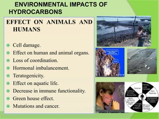 ENVIRONMENTAL IMPACTS OF
HYDROCARBONS
EFFECT ON ANIMALS AND
HUMANS
 Cell damage.
 Effect on human and animal organs.
 Loss of coordination.
 Hormonal imbalancement.
 Teratogenicity.
 Effect on aquatic life.
 Decrease in immune functionality.
 Green house effect.
 Mutations and cancer.
 