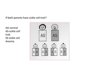 If both parents have sickle cell trait? 
AA-normal 
AS-sickle cell 
trait 
SS-sickle cell 
Anemia 
 