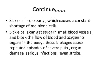 Continue,,,,,,, 
• Sickle cells die early , which causes a constant 
shortage of red blood cells. 
• Sickle cells can get stuck in small blood vessels 
and block the flow of blood and oxygen to 
organs in the body . these blokages cause 
repeated episodes of severe pain , organ 
damage, serious infections , even stroke. 
 
