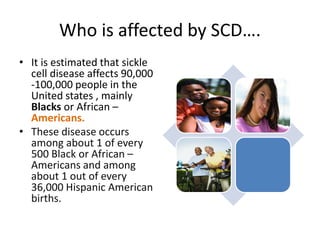 Who is affected by SCD…. 
• It is estimated that sickle 
cell disease affects 90,000 
-100,000 people in the 
United states , mainly 
Blacks or African – 
Americans. 
• These disease occurs 
among about 1 of every 
500 Black or African – 
Americans and among 
about 1 out of every 
36,000 Hispanic American 
births. 
 