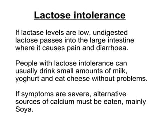 Lactose intolerance If lactase levels are low, undigested lactose passes into the large intestine where it causes pain and diarrhoea.  People with lactose intolerance can usually drink small amounts of milk, yoghurt and eat cheese without problems.  If symptoms are severe, alternative sources of calcium must be eaten, mainly Soya. 