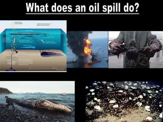 oil spillage control