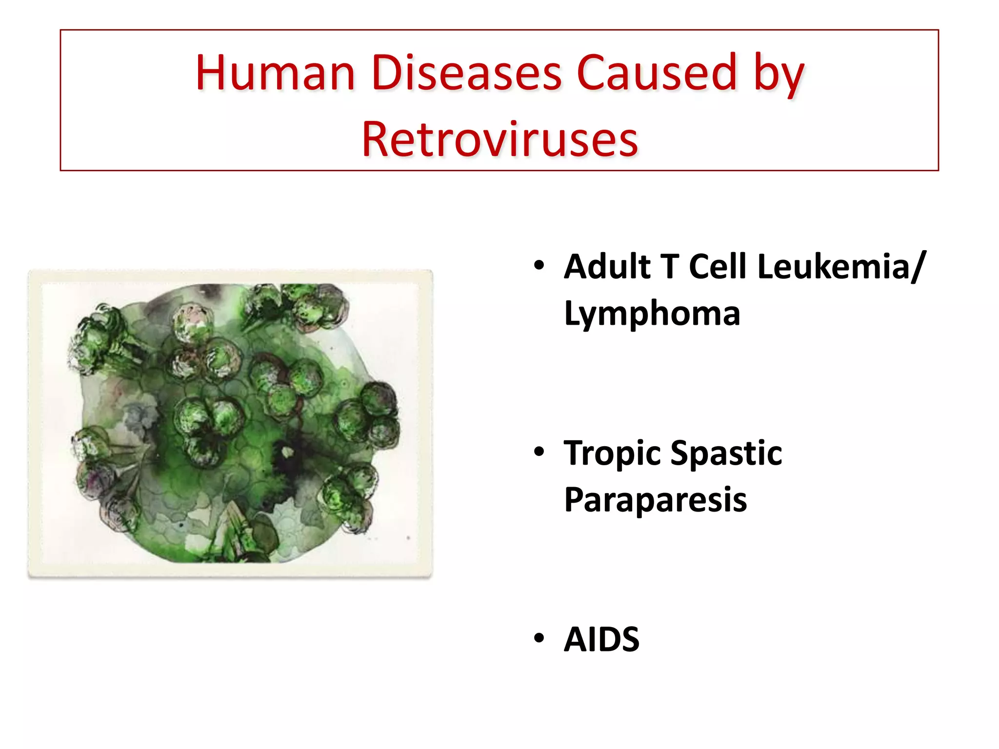 Final+ppt+viral+vectors+ | PPTX
