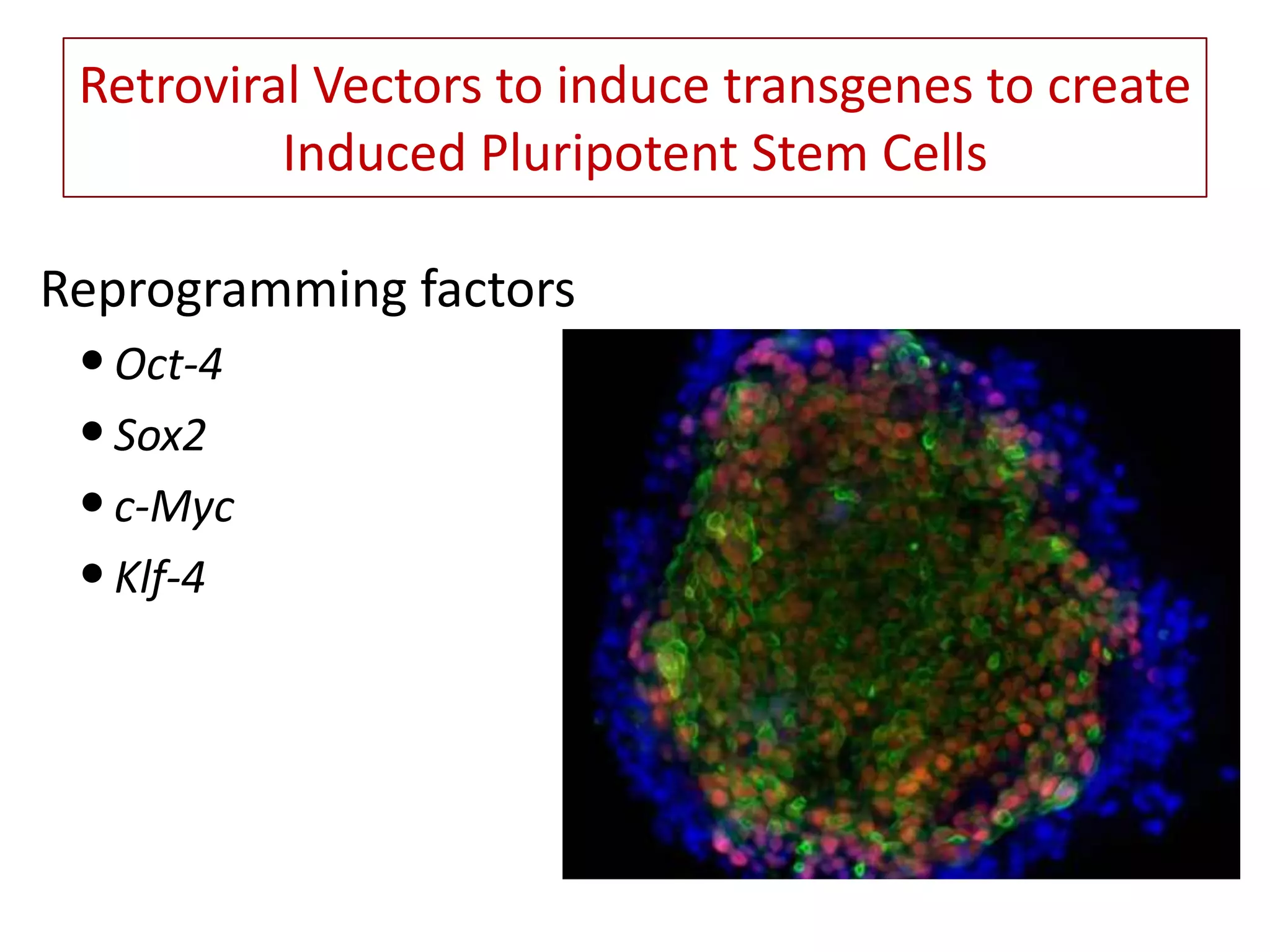 Final+ppt+viral+vectors+ | PPTX