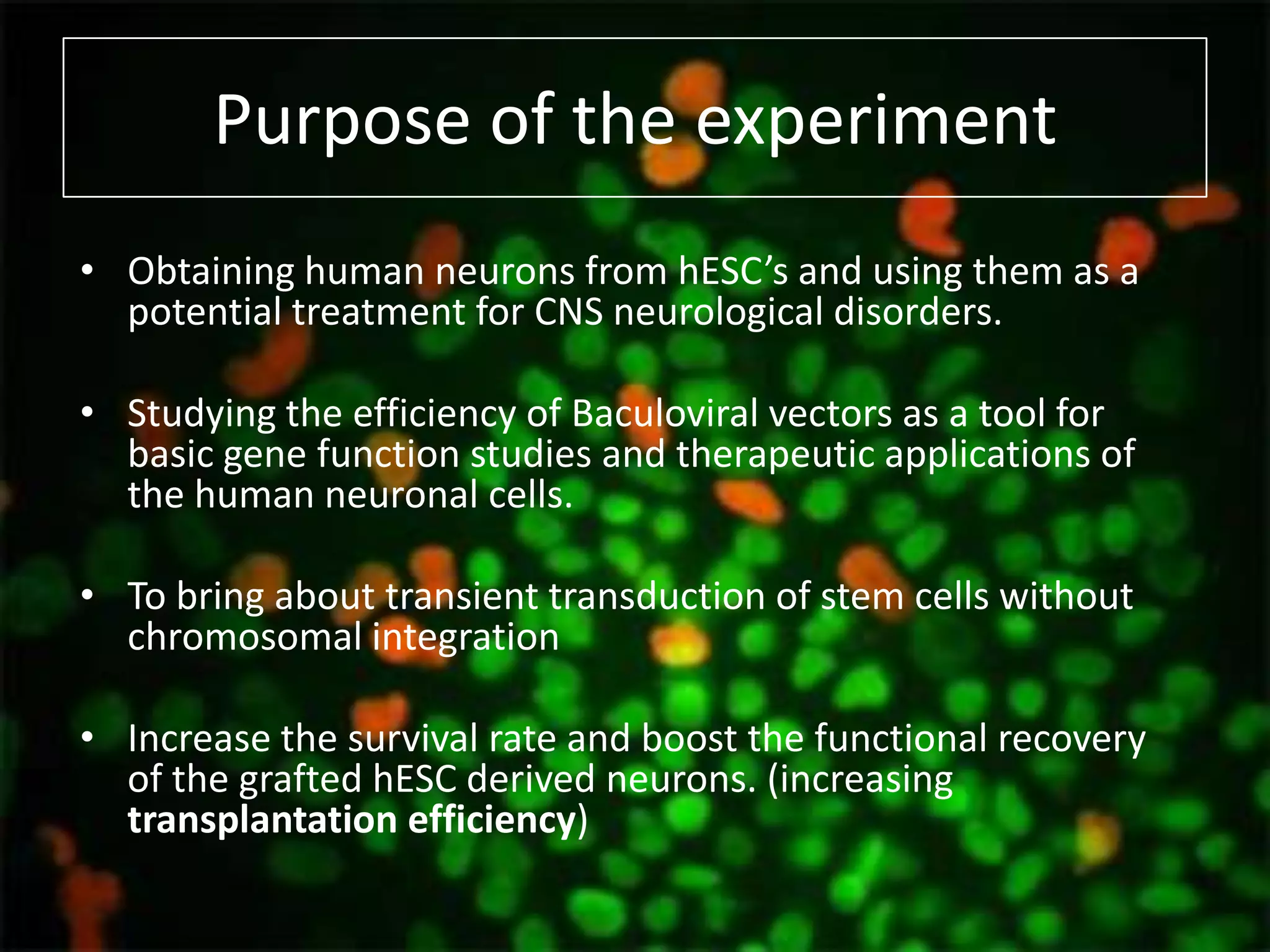 Final+ppt+viral+vectors+ | PPTX