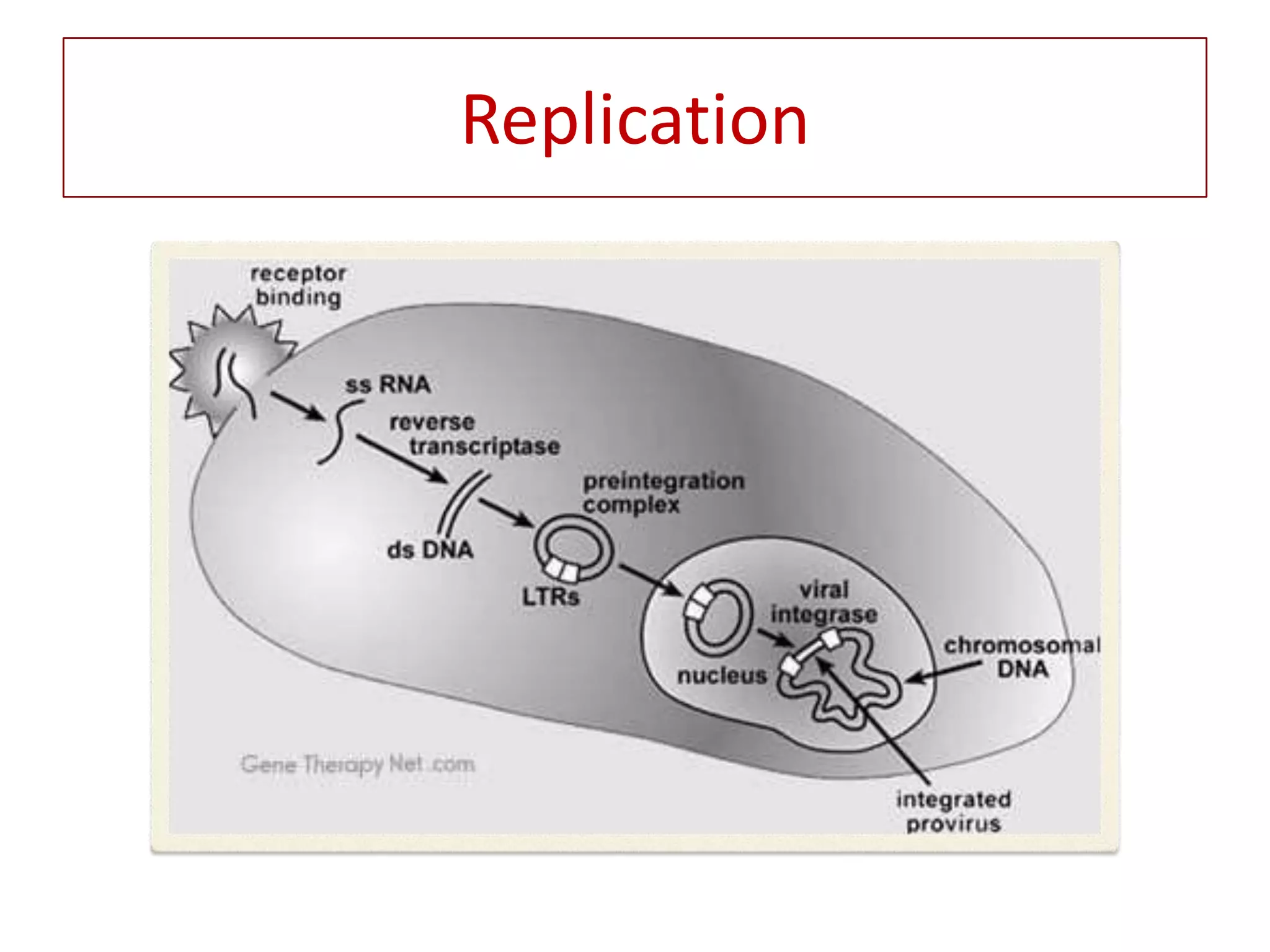 Final+ppt+viral+vectors+ | PPTX