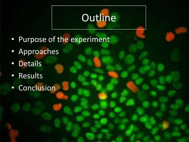 Final+ppt+viral+vectors+ | PPTX