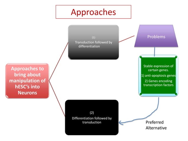 Final+ppt+viral+vectors+ | PPTX