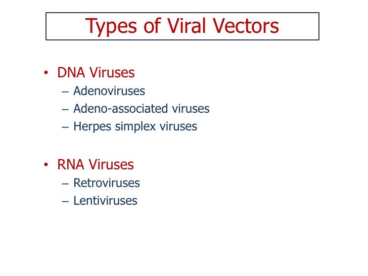 Final+ppt+viral+vectors+