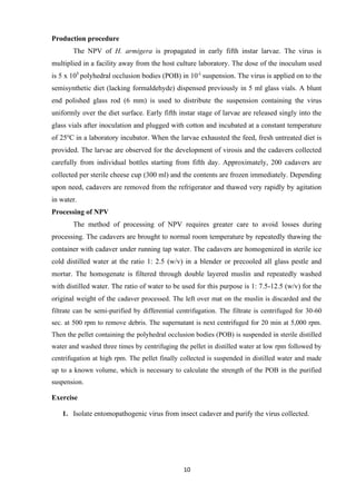 10
Production procedure
The NPV of H. armigera is propagated in early fifth instar larvae. The virus is
multiplied in a facility away from the host culture laboratory. The dose of the inoculum used
is 5 x 105
polyhedral occlusion bodies (POB) in 10-l
suspension. The virus is applied on to the
semisynthetic diet (lacking formaldehyde) dispensed previously in 5 ml glass vials. A blunt
end polished glass rod (6 mm) is used to distribute the suspension containing the virus
uniformly over the diet surface. Early fifth instar stage of larvae are released singly into the
glass vials after inoculation and plugged with cotton and incubated at a constant temperature
of 25o
C in a laboratory incubator. When the larvae exhausted the feed, fresh untreated diet is
provided. The larvae are observed for the development of virosis and the cadavers collected
carefully from individual bottles starting from fifth day. Approximately, 200 cadavers are
collected per sterile cheese cup (300 ml) and the contents are frozen immediately. Depending
upon need, cadavers are removed from the refrigerator and thawed very rapidly by agitation
in water.
Processing of NPV
The method of processing of NPV requires greater care to avoid losses during
processing. The cadavers are brought to normal room temperature by repeatedly thawing the
container with cadaver under running tap water. The cadavers are homogenized in sterile ice
cold distilled water at the ratio 1: 2.5 (w/v) in a blender or precooled all glass pestle and
mortar. The homogenate is filtered through double layered muslin and repeatedly washed
with distilled water. The ratio of water to be used for this purpose is 1: 7.5-12.5 (w/v) for the
original weight of the cadaver processed. The left over mat on the muslin is discarded and the
filtrate can be semi-purified by differential centrifugation. The filtrate is centrifuged for 30-60
sec. at 500 rpm to remove debris. The supernatant is next centrifuged for 20 min at 5,000 rpm.
Then the pellet containing the polyhedral occlusion bodies (POB) is suspended in sterile distilled
water and washed three times by centrifuging the pellet in distilled water at low rpm followed by
centrifugation at high rpm. The pellet finally collected is suspended in distilled water and made
up to a known volume, which is necessary to calculate the strength of the POB in the purified
suspension.
Exercise
1. Isolate entomopathogenic virus from insect cadaver and purify the virus collected.
 