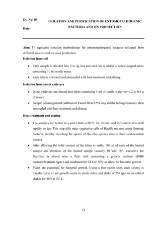 11
Ex. No: 03
ISOLATION AND PURIFICATION OF ENTOMOPATHOGENIC
BACTERIA AND ITS PRODUCTION
Date:
Aim: To aquitaine isolation methodology for entomopathogenic bacteria collected from
different sources and its mass production.
Isolation from soil
• Each sample is divided into 2 to 4g lots and each lot is added to screw-capped tubes
containing 10 ml sterile water.
• Each tube is vortexed and proceeded with heat treatment and plating
Isolation from insect cadavers
• Insect cadavers are placed into tubes containing 1 ml of sterile water per 0.2 to 0.4 g
of insect.
• Sample is homogenized (addition of Tween 80 to 0.5% may aid the homogenization), then
proceeded with heat treatment and plating
Heat treatment and plating
• The samples are heated in a water bath at 80 ºC for 10 min, and then allowed to chill
rapidly on ice. This step kills most vegetative cells of Bacilli and non spore forming
bacteria, thereby enriching for spores of Bacillus species (due to their heat-resistant
nature).
• After allowing the solid content of the tubes to settle, 100 µl of each of the heated
sample and dilutions of the heated sample (usually 10-1
and 10-2
, exclusive for
Bacillus) is plated onto a Petri dish containing a growth medium (MBS
medium/Nutrient Agar ) and incubated for 24 h at 30ºC to allow for bacterial growth.
• Plates are examined for bacterial growth. Using a ﬁne sterile loop, each colony is
transferred to 10 ml growth media in sterile tubes and shake at 250 rpm on an orbital
shaker for 48 h at 30º C.
 