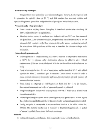 12
Mass culturing techniques
The growth of most commonly used entomopathogenic bacteria, B. thuringiensis and
B. sphaericus is typically done at 30 ºC and UG medium has provided reliable and
reproducible growth, sporulation and production of parasporal bodies in both cases.
Preparation of a 10-ml preculture
• From a stock or a colony from a fresh plate, is inoculated into the tube containing 10
ml UG medium to serve as a preculture.
• After inoculation, culture is incubated on a shaker for 48 h at 30ºC and then observed
for sporulation. After sporulation occurs, the preculture is heat-treated at 80 ºC for 10
minutes to kill vegetative cells. Heat treatment allows for a more consistent growth of
the new culture. This preculture will be used to inoculate the cultures for large scale
production.
Harvesting of spores/crystals
• Erlenmeyer ﬂask (1 litre) containing 100 ml UG medium is subjected to sterilization
at 121ºC for 15 minutes. After sterilization, glucose is added to give 1%ﬁnal
concentration. [Glucose stock solution of 10% that has been ﬁlter sterilized should be
used]
• Flask is inoculated with ~ 0.5 ml of a preculture and incubated at 30º C with orbital
agitation for 48 to 72 h until cell lysis is complete. Culture should be checked under a
phase-contrast microscope to monitor cell lysis, the sporulation rate and presence of
parasporal crystal proteins.
• Then culture is subjected to centrifugation at 5000 rpm for 15 to 20 minutes.
Supernatant is decanted and pellet of spores and crystals is collected
• The pellet of spores and crystals is resuspended with 0.5 M NaCl for 15 min to avoid
exoprotease activity.
• The resuspended spore crystal mix is centrifuged at 5000 rpm for 15 to 20 min. Again
the pellet is resuspended in distilled or deionized water and centrifugation is repeated.
• Finally, the pellet is resuspended in a water volume identical to the initial culture (i.e.
200 ml). This material can be used in bioassays to determine target insects or pellet
of spores/ crystals is freeze dried for long term storage
Exercise
1) Isolate entomopathogenic bacteria from insect cadaver and soil and culture it.
 