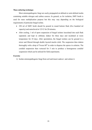 15
Mass culturing technique
Most entomopathogenic fungi are easily propagated on deﬁned or semi-deﬁned media
containing suitable nitrogen and carbon sources. In general, as for isolation, SMY broth is
used for mass multiplication purpose but this may vary depending on the biological
requirements of particular fungal isolate.
• 250 ml of SMY broth should be poured in round bottom flask (five hundred ml
capacity) and autoclaved at 121ᵒC for 20 minutes.
• After cooling, 1 ml of spore suspension of fungal isolates inoculated into each flask
separately and kept in orbitrary shaker for three days and incubated at room
temperature for 10 days. After sporulation, the fungal isolates can be ground in a
mixer and filtered through double layered muslin cloth. The suspension then shaken
thoroughly with a drop of Tween 80®
in order to disperse the spores in solution. The
conidial suspension then vortexed for 5 min to produce a homogenous conidial
suspension which can be utilized for field experiments.
Exercise
1) Isolate entomopathogenic fungi from soil and insect cadaver and culture it.
 