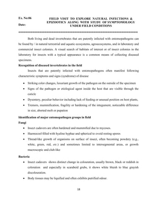 18
Ex. No:06 FIELD VISIT TO EXPLORE NATURAL INFECTIONS &
EPIZOOTICS ALONG WITH STUDY OF SYMPTOMOLOGY
UNDER FIELD CONDITIONS
Date:
===================================================
Both living and dead invertebrates that are patently infected with entomopathogens can
be found by / in natural terrestrial and aquatic ecosystems, agroecosystems, and in laboratory and
commercial insect colonies. A visual search of habitats of interest or of insect colonies in the
laboratory for insects with a typical appearance is a common means of collecting diseased
specimens.
Recognition of diseased invertebrates in the ﬁeld
Insects that are patently infected with entomopathogens often manifest following
characteristic symptoms and signs (syndrome) of disease
• Striking color changes, luxuriant growth of the pathogen on the outside of the specimen
• Signs of the pathogen or etiological agent inside the host that are visible through the
cuticle
• Dysentery, peculiar behavior including lack of feeding or unusual position on host plants,
• Tremors, mummiﬁcation, fragility or hardening of the integument, noticeable difference
in size, aborted molt or pupation
Identification of major entomopathogen groups in field
Fungi
• Insect cadavers are often hardened and mummiﬁed due to mycoses.
• Haemocoel ﬁlled with hyaline hyphae and spherical to ovoid resting spores
• Thread-like growth of organisms on surface of insect, often becoming powdery (e.g.,
white, green, red, etc.) and sometimes limited to intersegmental areas, or growth
macroscopic and club-like
Bacteria
• Insect cadavers shows distinct change in colouration, usually brown, black or reddish in
coloration and especially in scarabeid grubs, it shows white bluish to blue grayish
discolouration.
• Body tissues may be liquified and often exhibits putrified odour.
 