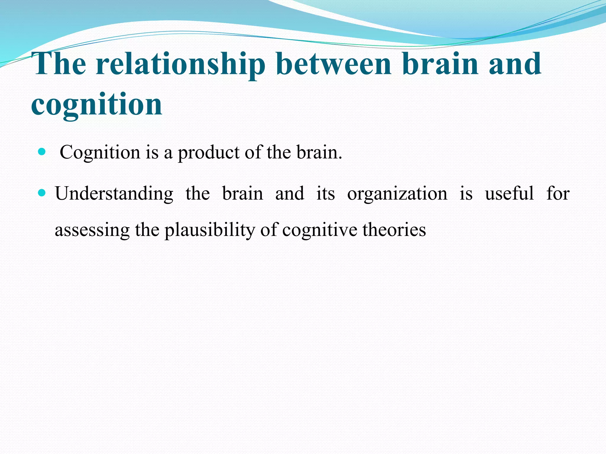 The relationship between brain and
cognition
 Cognition is a product of the brain.
 Understanding the brain and its organization is useful for
assessing the plausibility of cognitive theories
 