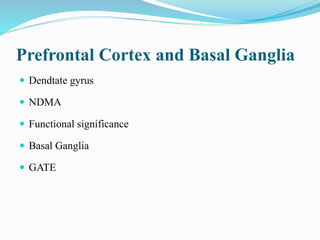 Prefrontal Cortex and Basal Ganglia
 Dendtate gyrus
 NDMA
 Functional significance
 Basal Ganglia
 GATE
 