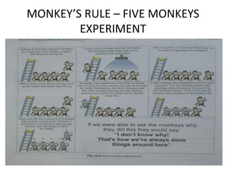 MONKEY’S RULE – FIVE MONKEYS
EXPERIMENT
 