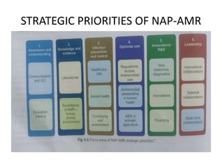 STRATEGIC PRIORITIES OF NAP-AMR
 